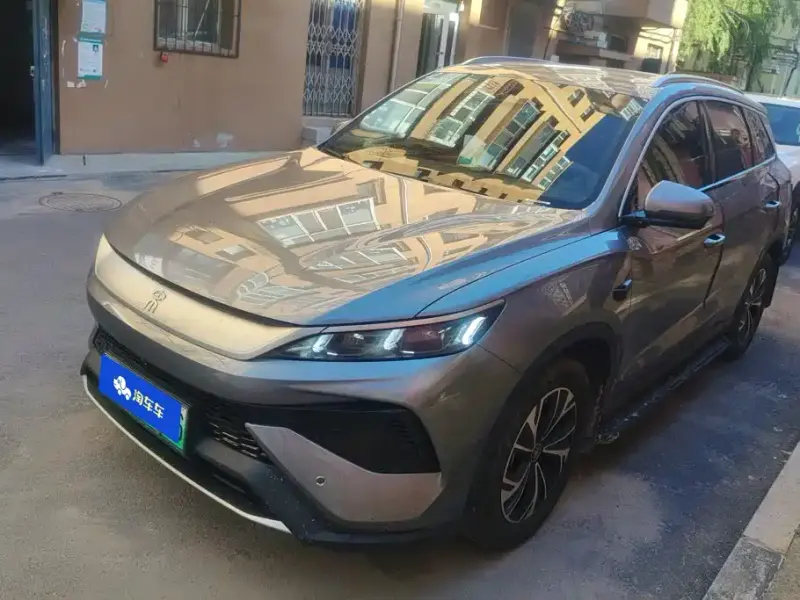 BYD Pro New Energy, 2025