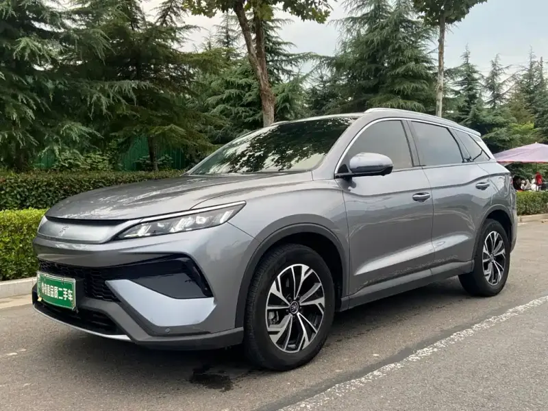 BYD Pro New Energy, 2024
