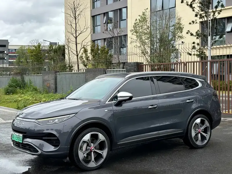 Denza X, 2022