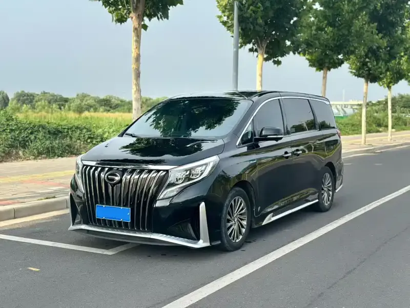 GAC Motor Trumpchi M8 GAC Trumpchi M8 2021 Grand Master Series 390T Supreme Edition, 2021 — фото 1