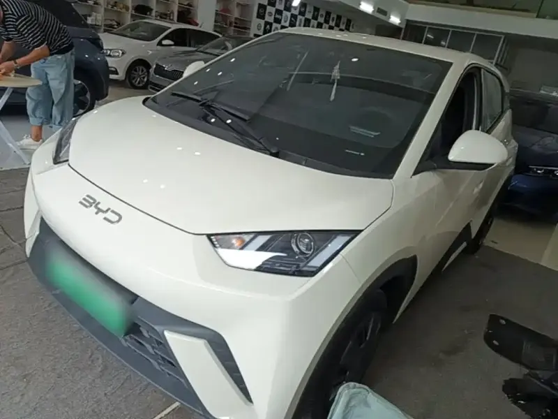 BYD Seagull, 2024