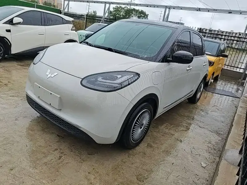 Wuling Bingo Wuling Binguo 2024 333km Spirit Sharp Connected, 2024 — фото 1
