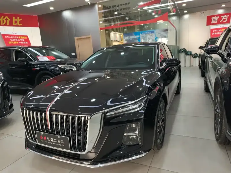 Hongqi H5, 2024