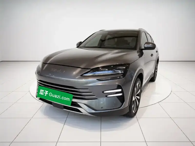 BYD PLUS New Energy, 2024