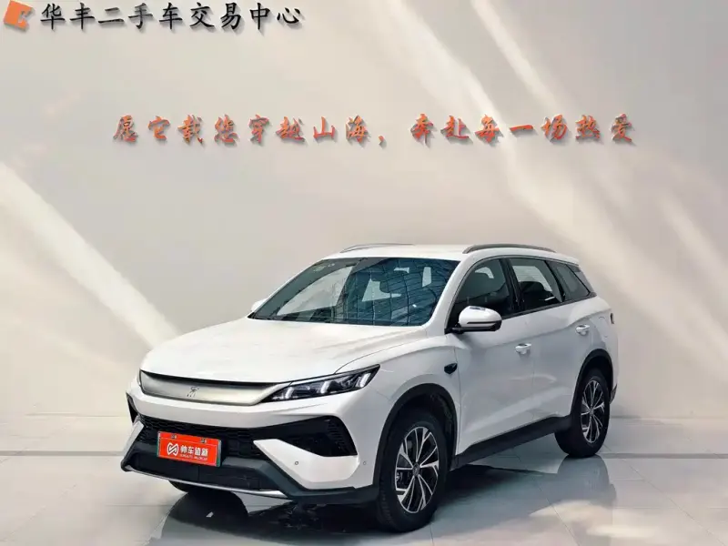 BYD Pro New Energy, 2026