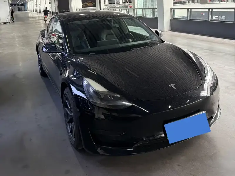 Tesla Model 3, 2021