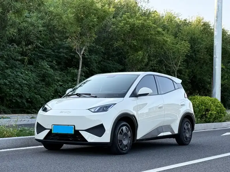 BYD Seagull, 2025
