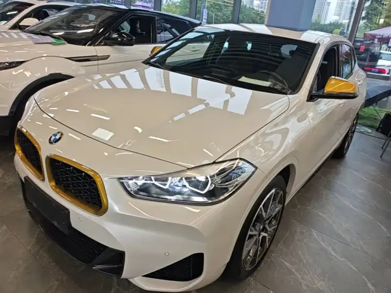 BMW X2 BMW X2 2023 sDrive 25i Brilliance Shine Edition, 2023 — фото 1