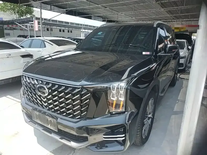 GAC Motor Trumpchi GS8, 2024