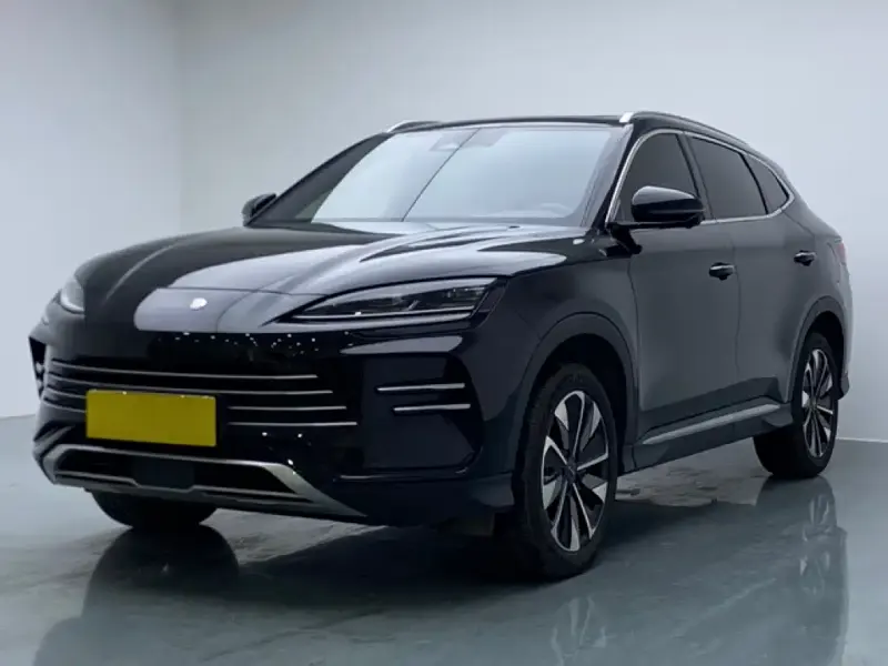 BYD PLUS New Energy, 2024
