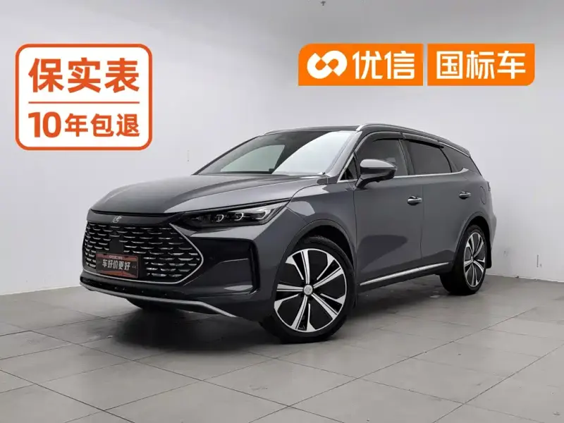 BYD Tang New Energy, 2023