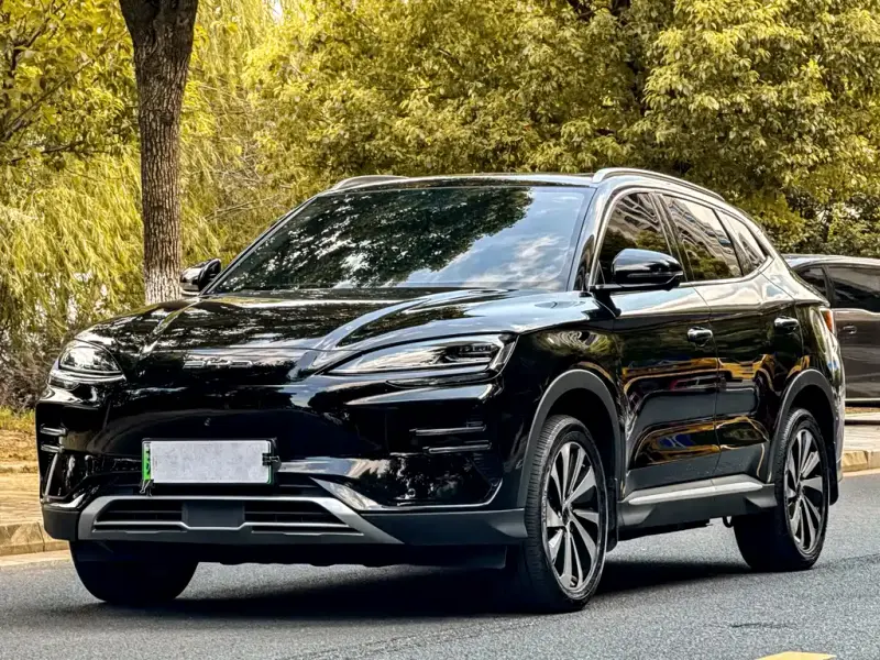 BYD PLUS New Energy, 2024