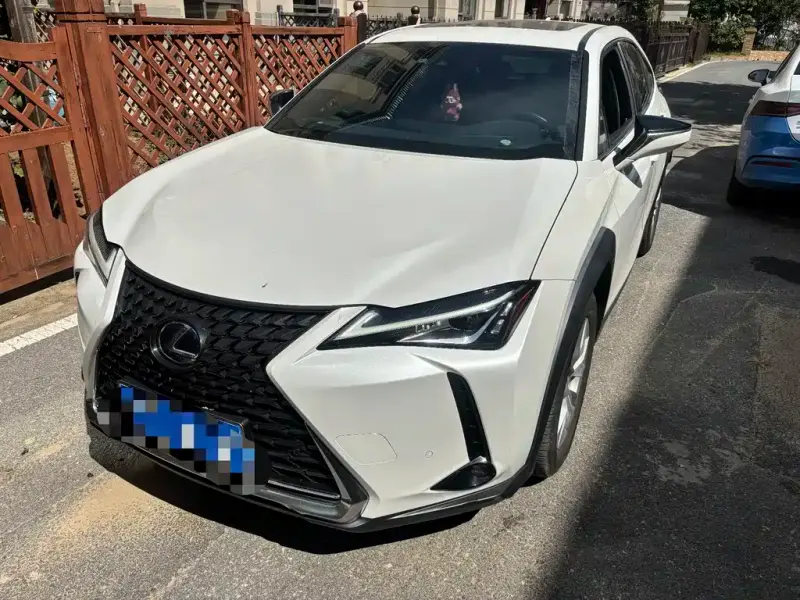 Lexus UX Lexus UX 2020 260h Explore · Fun Edition China V, 2021 — фото 1