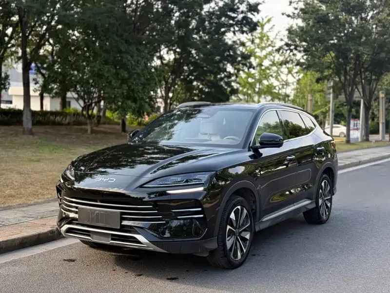 BYD PLUS New Energy, 2025