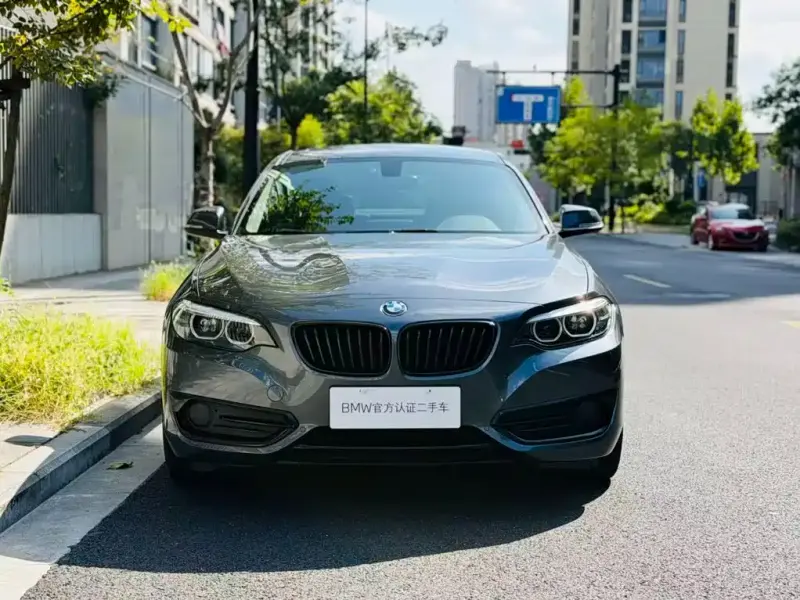 BMW 2 Series (Import), 2019