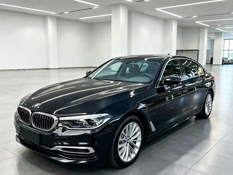 BMW 5 Series New Energy BMW 5 Series NEV 2020 Mile Range Upgrade Edition 530Le Pioneer Edition, 2020 — фото 1