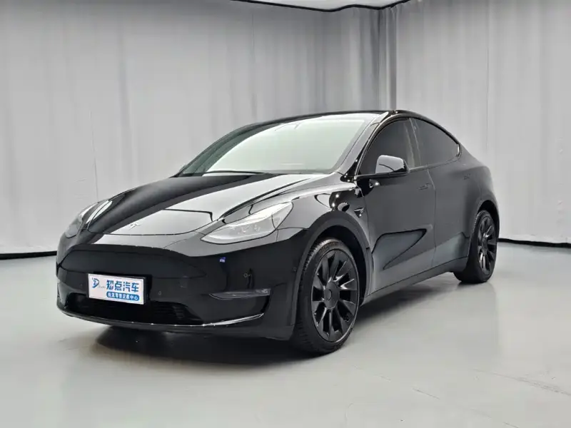 Tesla Model Y, 2021