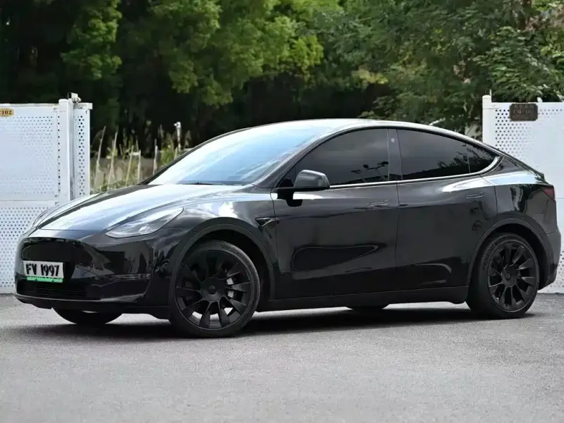Tesla Model Y, 2021