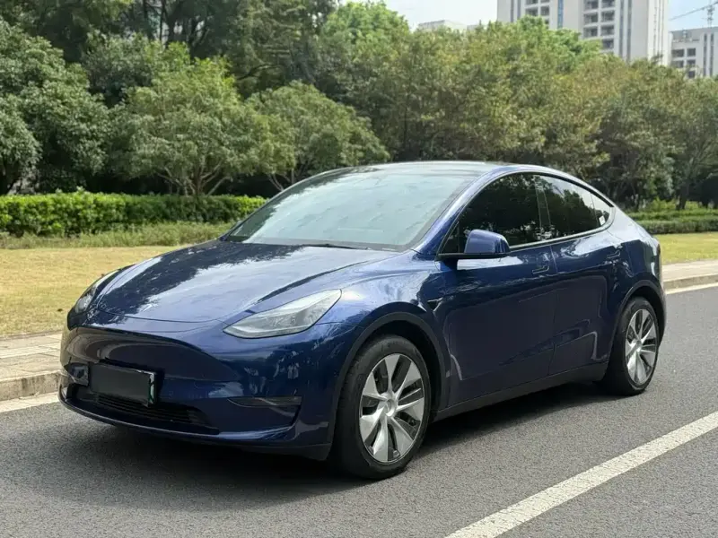 Tesla Model Y, 2021