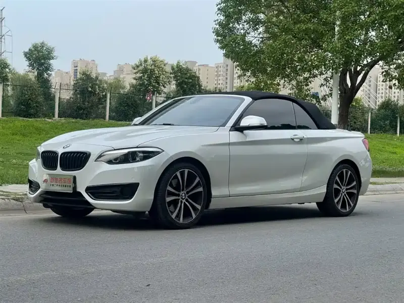 BMW 2 Series (Import), 2019