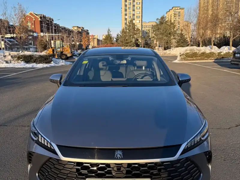 BYD Qin PLUS, 2025