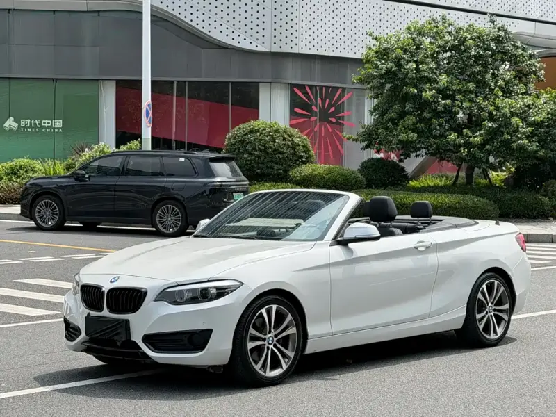 BMW 2 Series (Import), 2019