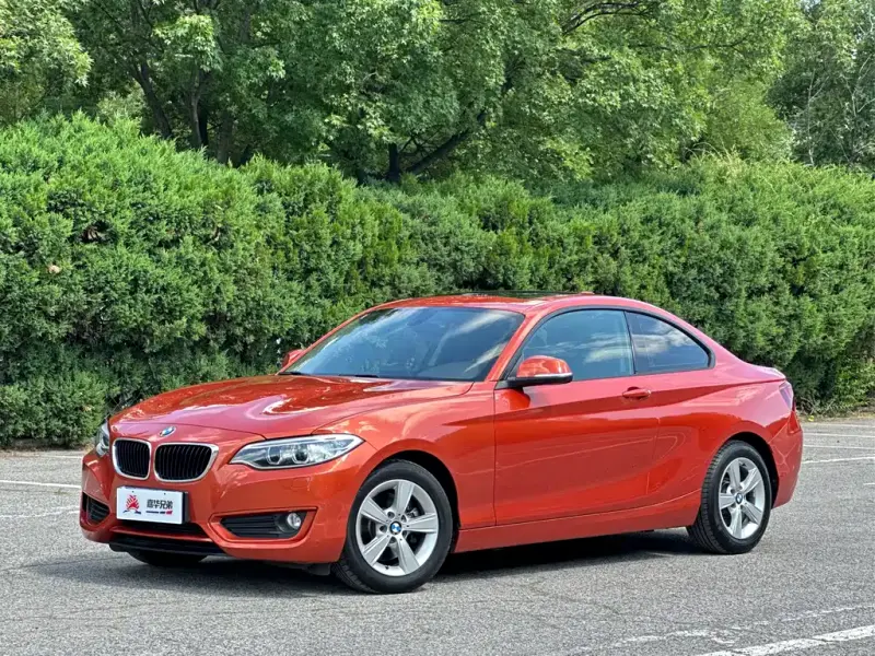 BMW 2 Series (Import), 2015