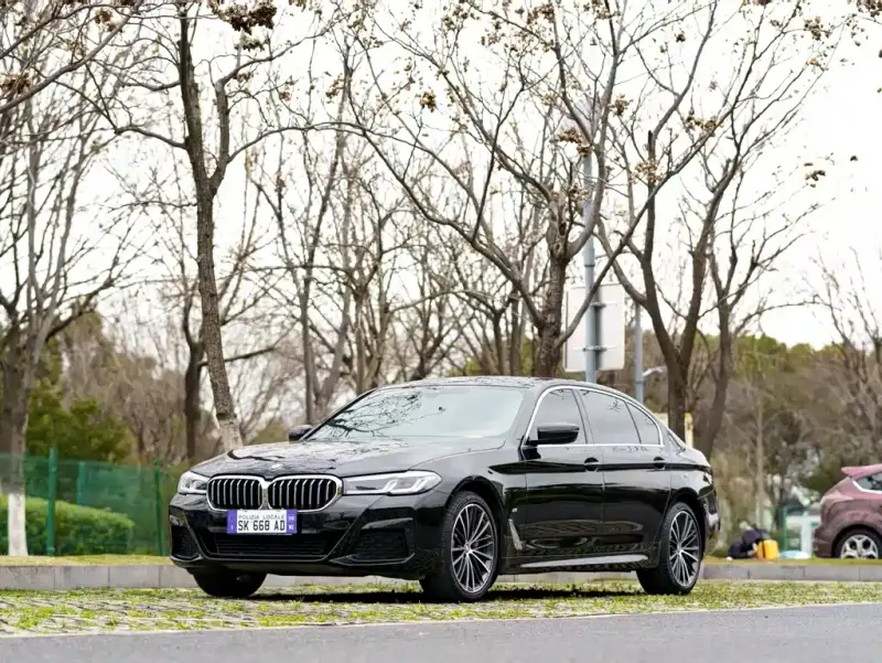 BMW 5 Series, 2021
