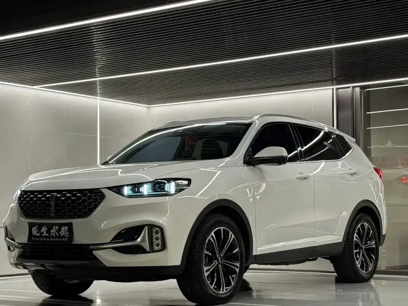 Wey VV6, 2020