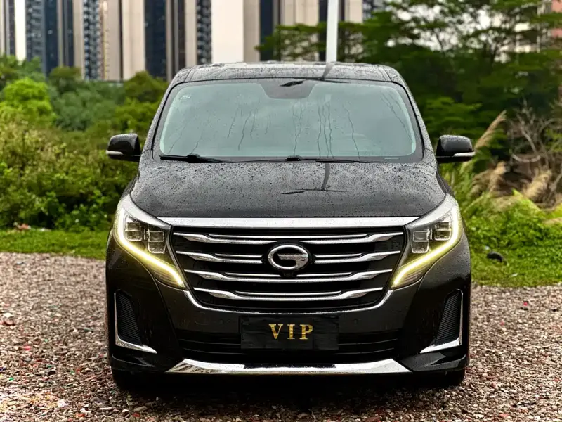 GAC Motor Trumpchi M8, 2020
