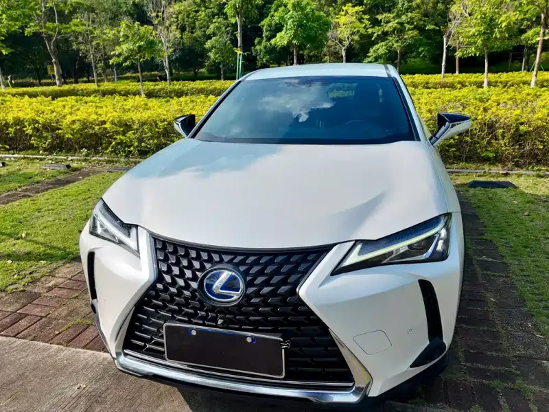 Lexus UX, 2019