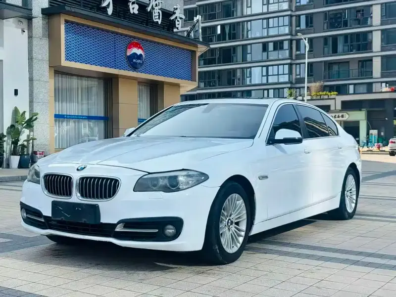 BMW 5 Series, 2014
