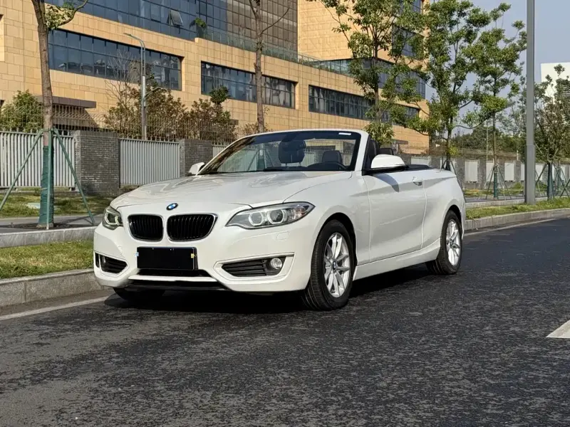 BMW 2 Series (Import), 2016