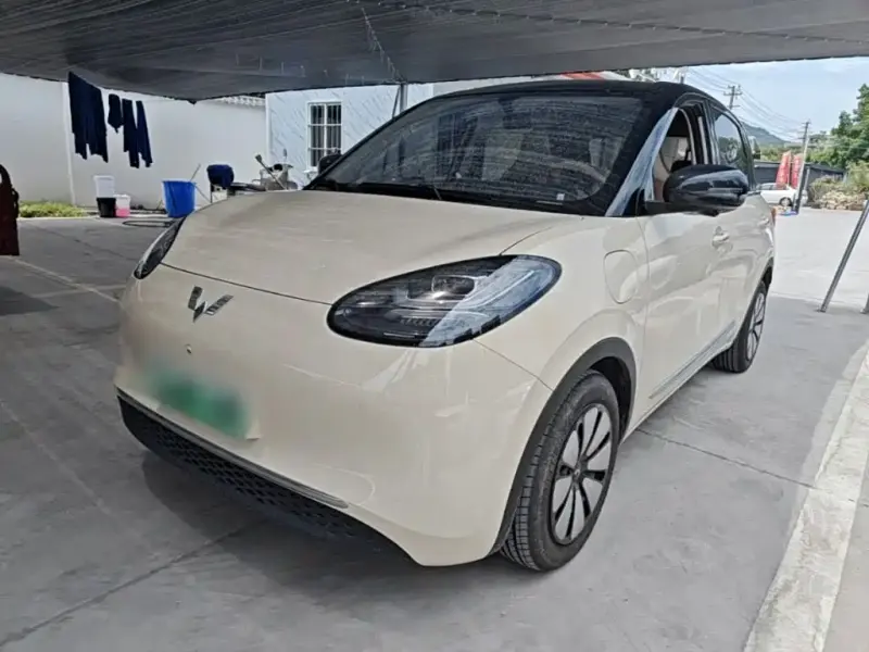 Wuling Bingo, 2025