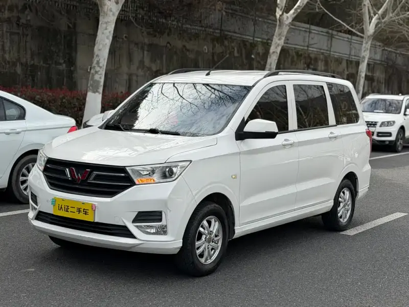 Wuling Hongguang, 2019