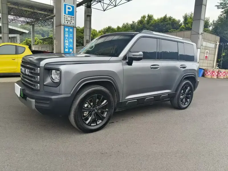 Haval Menglong New Energy, 2024