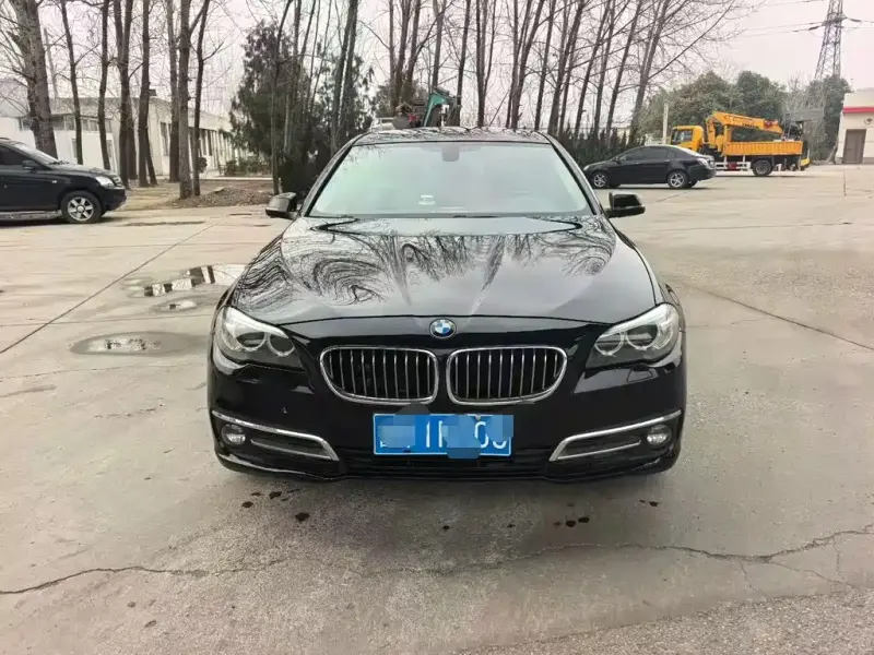 BMW 5 Series, 2015