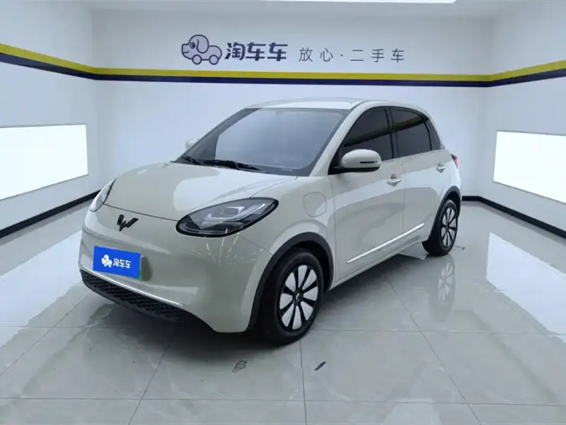 Wuling Bingo, 2024