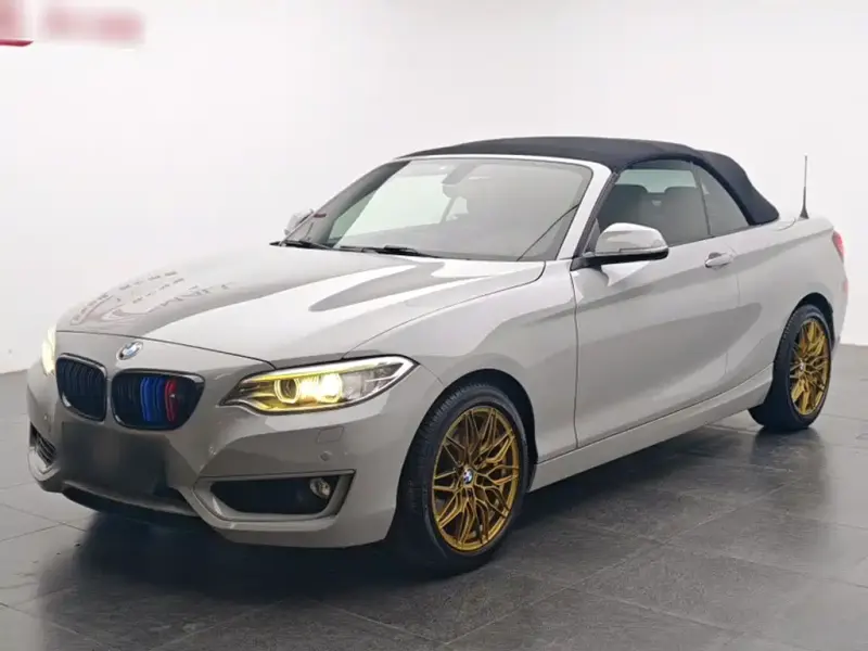 BMW 2 Series (Import), 2016