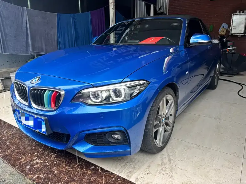 BMW 2 Series (Import), 2018