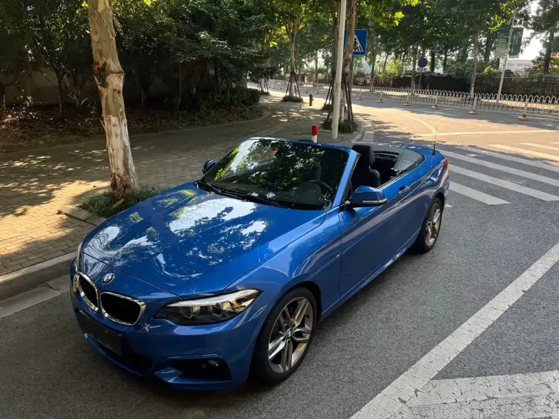 BMW 2 Series (Import), 2018