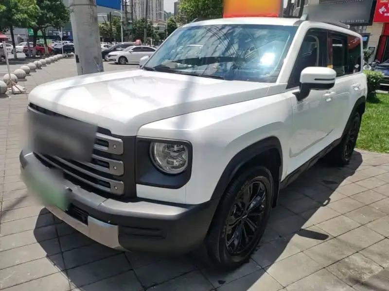 Haval Menglong New Energy, 2025