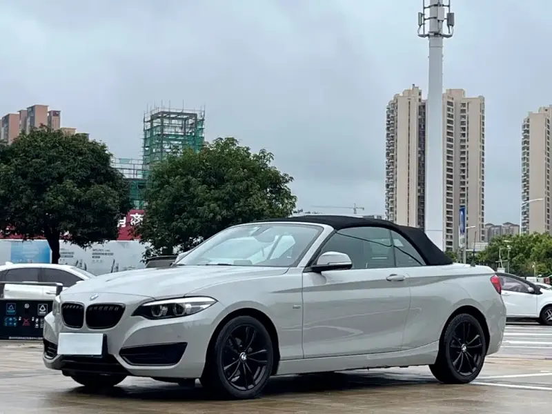 BMW 2 Series (Import), 2017