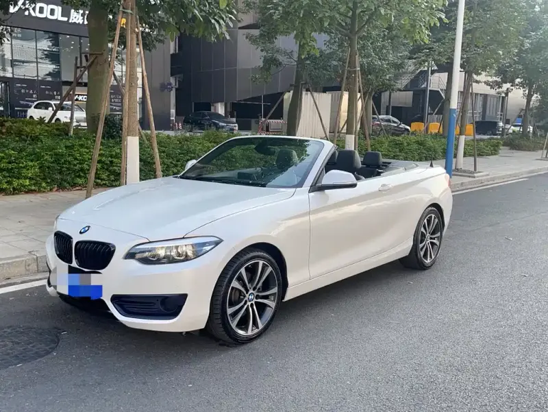 BMW 2 Series (Import), 2020