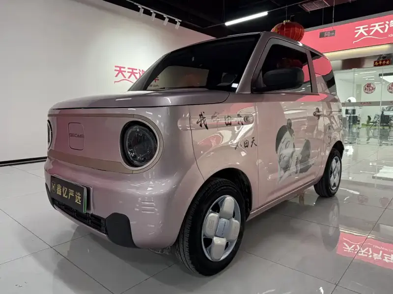 Galaxy Panda, 2024