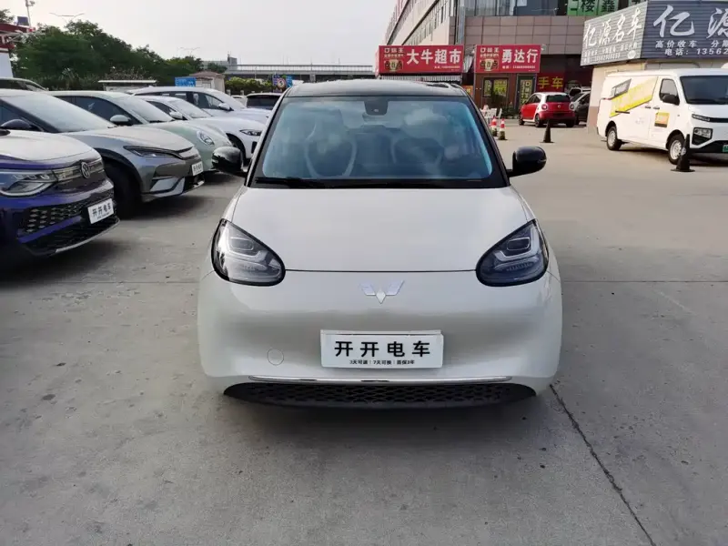 Wuling Bingo, 2023