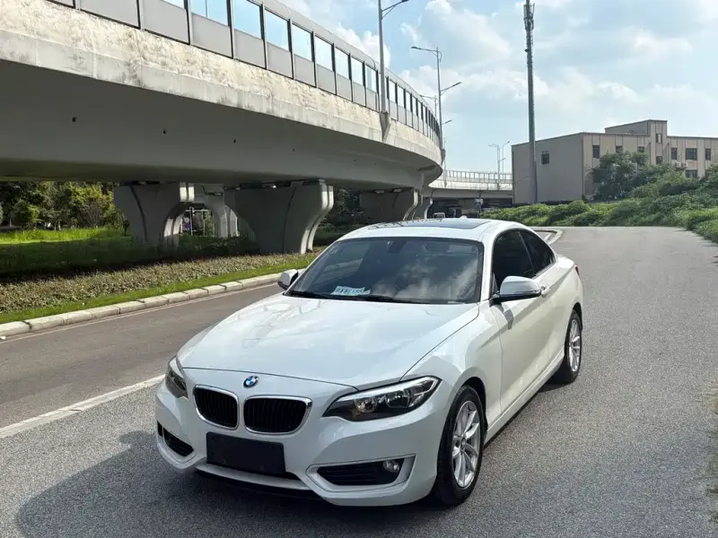 BMW 2 Series (Import), 2015