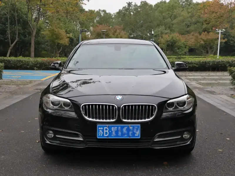 BMW 5 Series, 2015