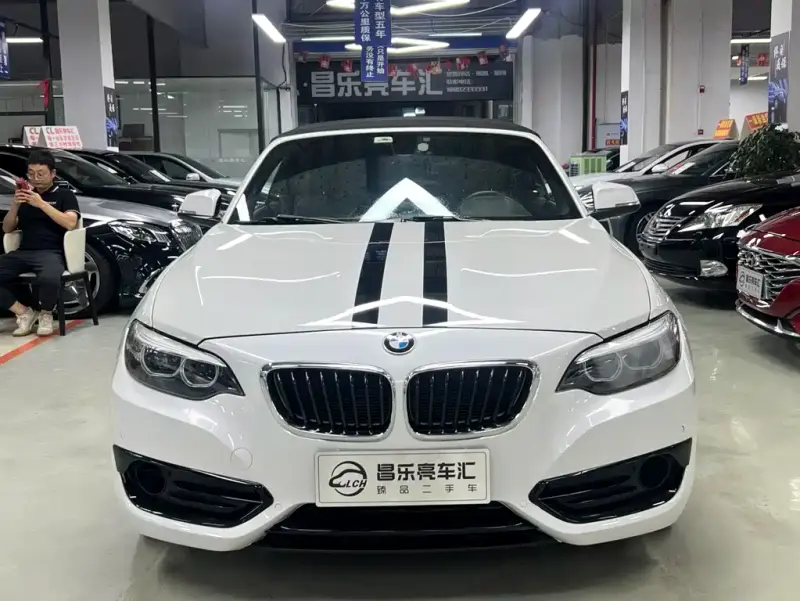 BMW 2 Series (Import), 2018