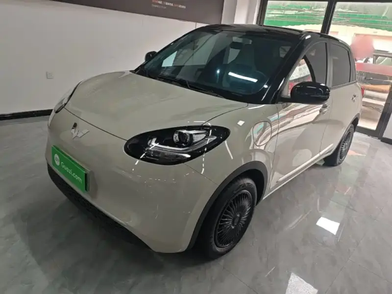Wuling Bingo, 2024